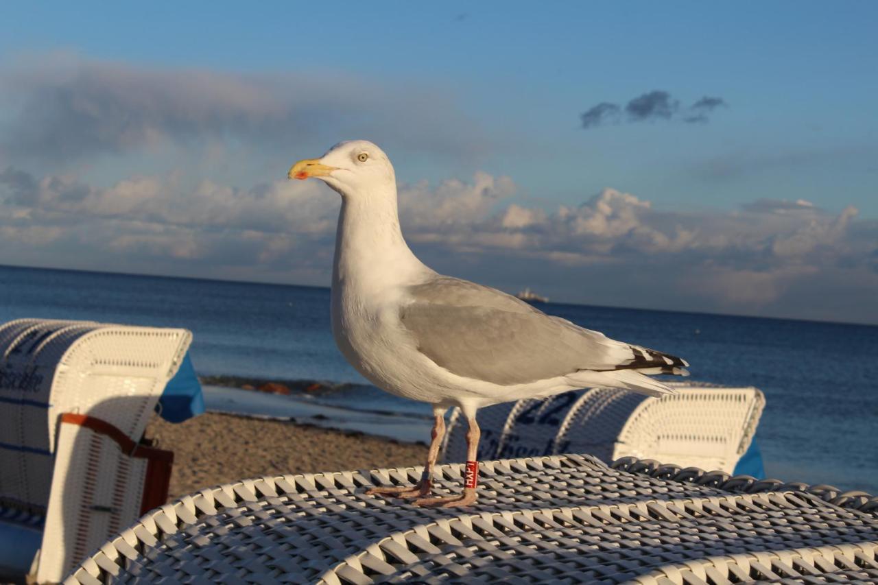 Ferienwohnungen Im Haus Strandburg Groemitz Grömitz Exterior foto